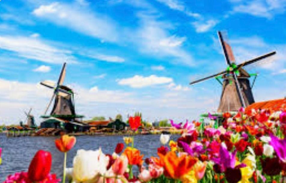Huisje Finn, Met Grote Tuin En Veel Privacy Dirkshorn Exterior foto